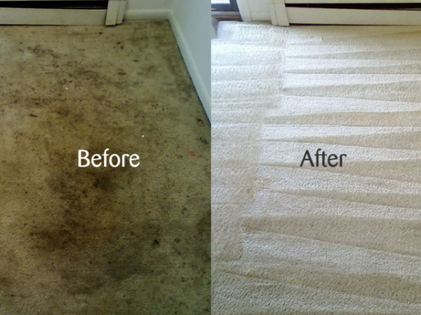 carpet-stem-cleaning-before-after-in-melbourne-next-level-fcs1